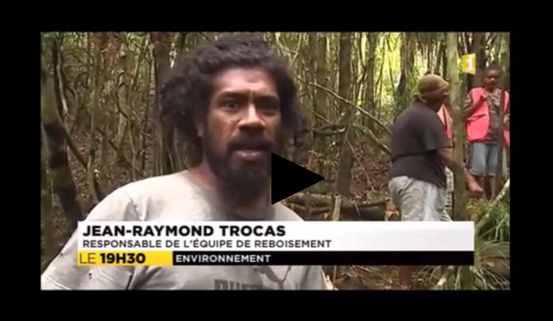 reportage TV touho